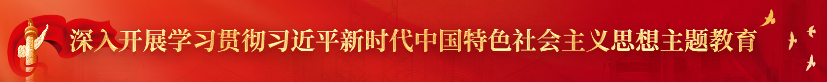 深入开展学习贯彻习近平新时代中国特色社会主义思想主题教育